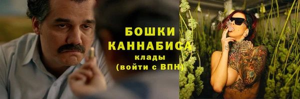 сатива Армянск