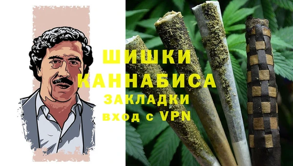 сатива Армянск