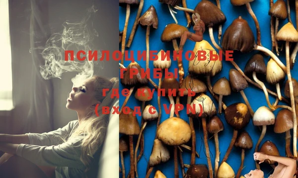 гашиш Аркадак