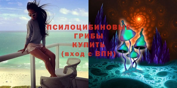 сатива Армянск