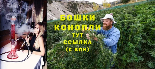 сатива Армянск