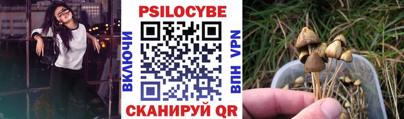 Галлюциногенные грибы мицелий  Пущино 